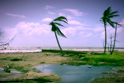 Trees blowing in the wind