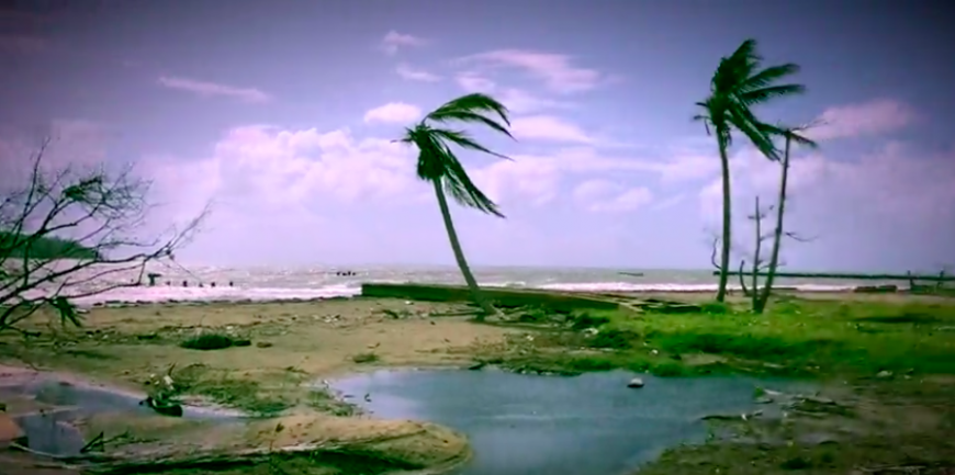 Trees blowing in the wind